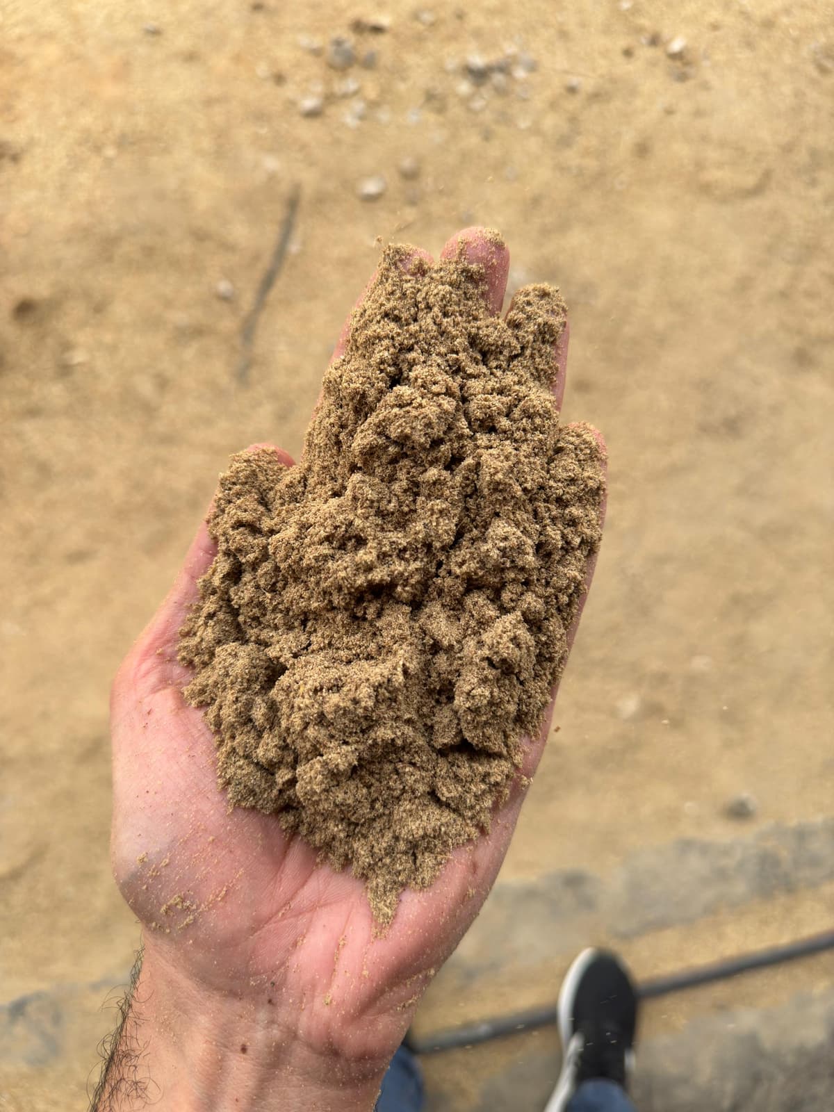 Rice Bran